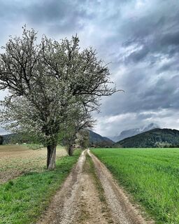 Trofaiach