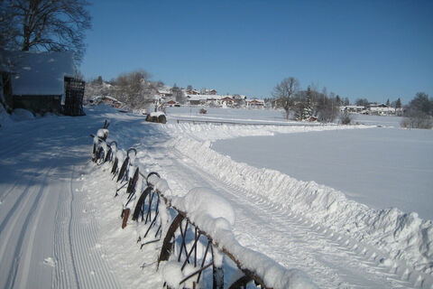 Winterwanderung - Geizenmoos