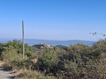 Foto de Helmut Brandt a lo largo del recorrido
