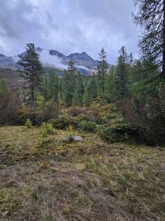 Foto da Anna Krizhanovska lungo il tour
