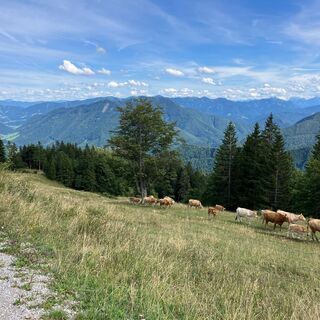 Losenstein-Hohe Dirn Trail