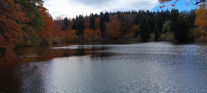 Fotografija s spletne strani Jennerwein na poti