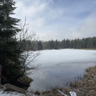 Fotografia z Steffen Kiesel na trase