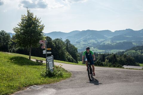 Route Köbelisberg