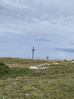 Photo de julien moreno le long du parcours