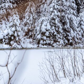 Winterwanderung im Tonbachtal