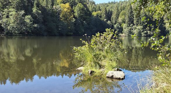 Foto von Reinhard R entlang der Tour