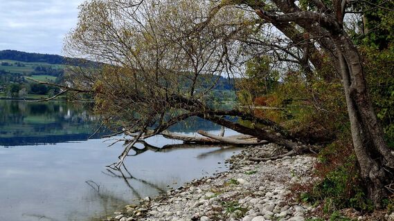 Photo de Elisabeth Vonarburg le long du parcours