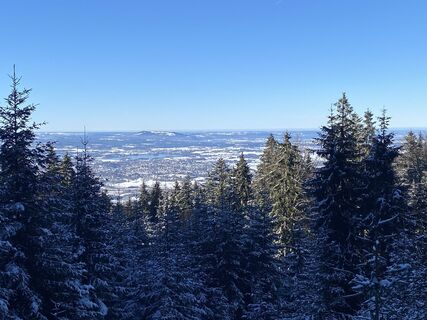 Fotografia z Michael BAUER 14 na trase