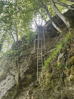 Zdjęcie z Fabrice Neulens wzdłuż trasy