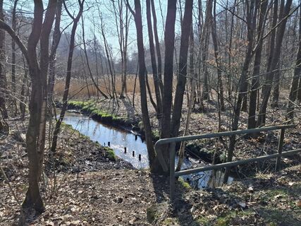 Foto von nordbergschnecke entlang der Tour