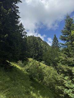 Fotografia z NorbertZ na trase