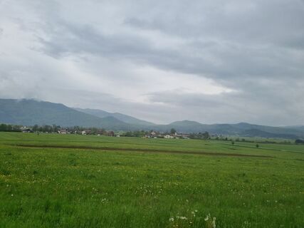Foto de Grizli a lo largo del recorrido