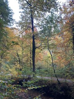 Photo from Marjorie Audergon along the tour