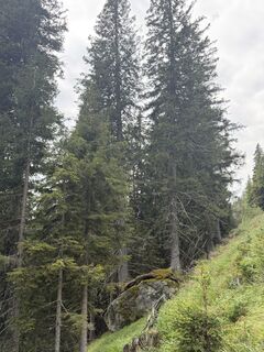 Photo de René Schlütter le long du parcours