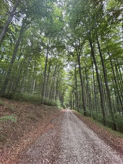 Fotó a RS76 honlapról a túra során