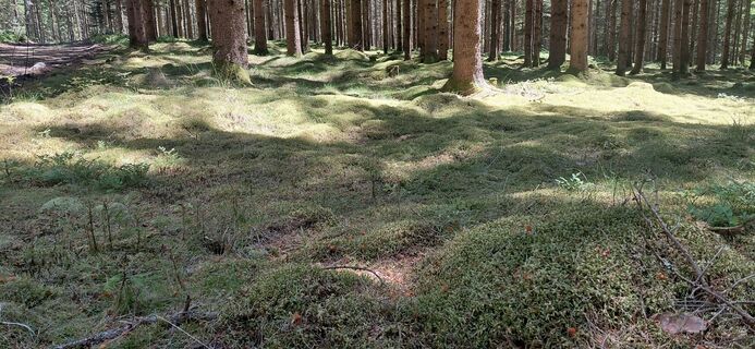 Foto von Richard Kuderer entlang der Tour