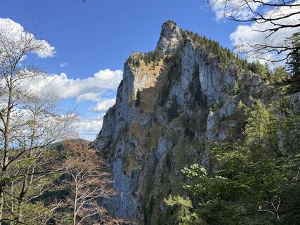 Zdjęcie z Natur_erleben_dg wzdłuż trasy