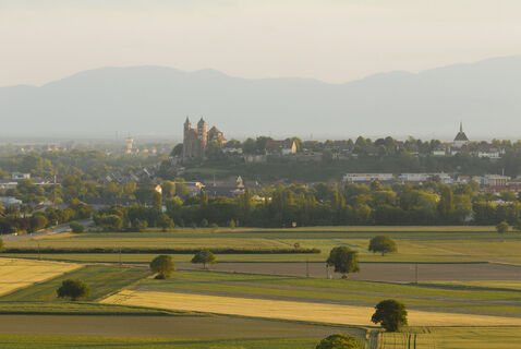 Stephansmünster Breisach