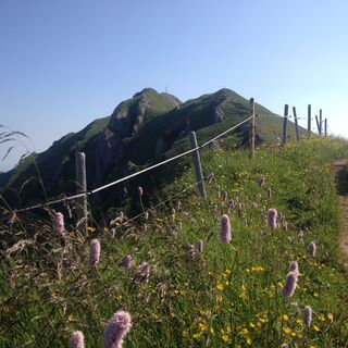 Gelchenwanger Grat und Rindalphorn
