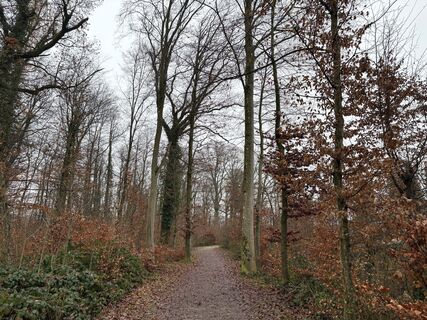 Foto von Pascal Oliver Hauser entlang der Tour