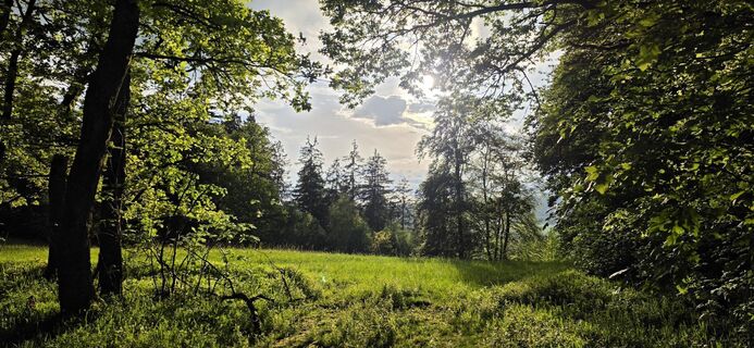 Foto von Kerstin Lindam entlang der Tour