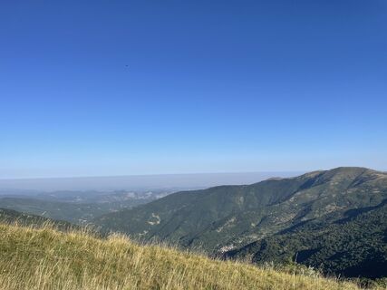 Fotografie z Filippo Zanardi na trase