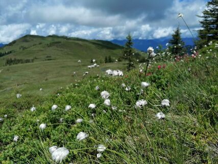 Wildschönau Auffach Sternboden