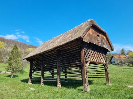 Fotografija s spletne strani Grizli na poti