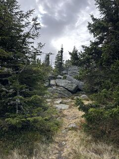 Photo de Georg B. Meier le long du parcours