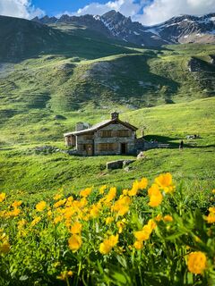 Refuge de Vallonbrun in den Bergblumen