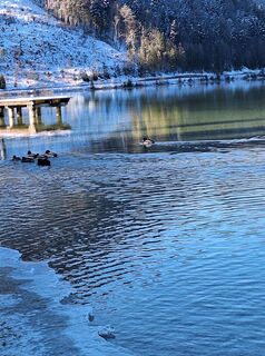 Foto von Mimi entlang der Tour