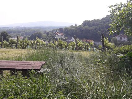 Rastplatz Weinberge