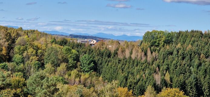 Fotografie de la Utassy Tóth Johanna de-a lungul turului