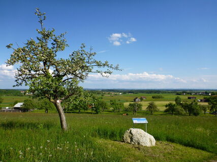 Panoramablick von der Kapelle Maria auf dem Berge