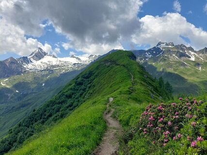 alexander enzinger weg_img_81723740