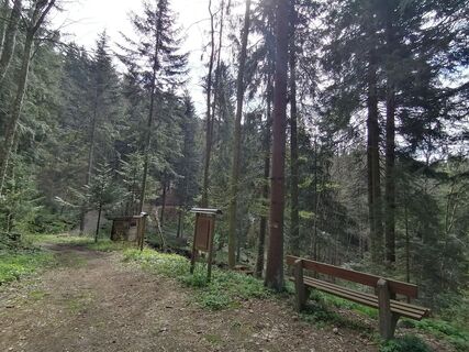 Photo de Wanderfux le long du parcours