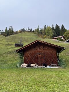Foto von Iris Humenberger entlang der Tour