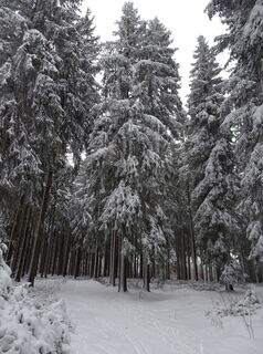Foto von Manu Lange entlang der Tour