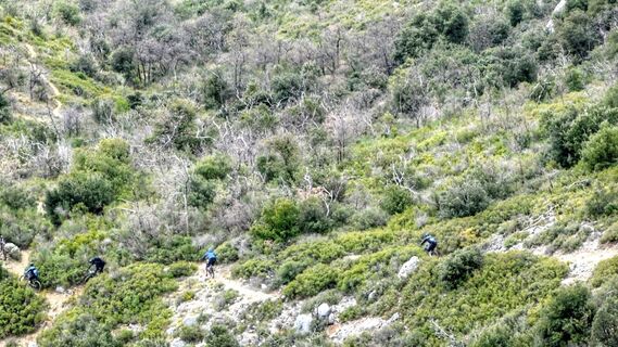 MTB-Strecke Sainte-Tulle