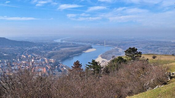 Fotografia z Regina Fleischmann na trase