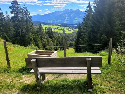 Photo de mmecki le long du parcours