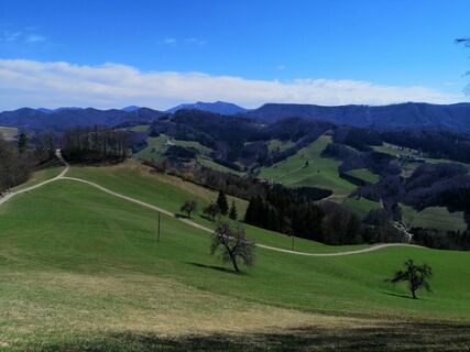 Foto von Christina Turnwald entlang der Tour