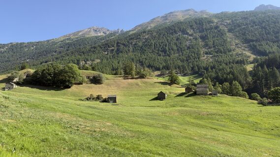 Fotografija s spletne strani Peter Burki na poti