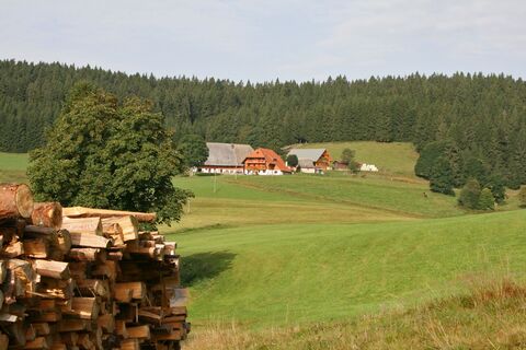 Schollach