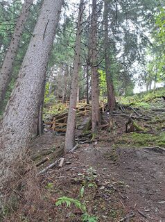 Foto von Wanderbursche66 entlang der Tour