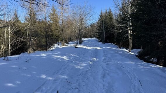 Foto da peter_oe lungo il tour