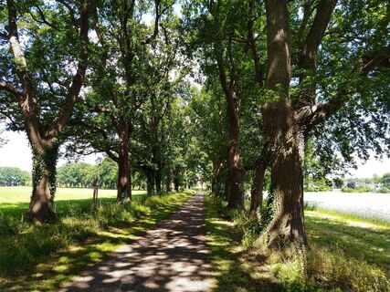 Radrundweg R 19 Herzebrock-Clarholz