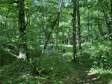 Photo de Guido Zamattio le long du parcours