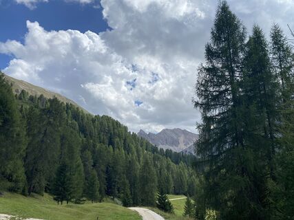 Foto von Dagmar Gaertner entlang der Tour